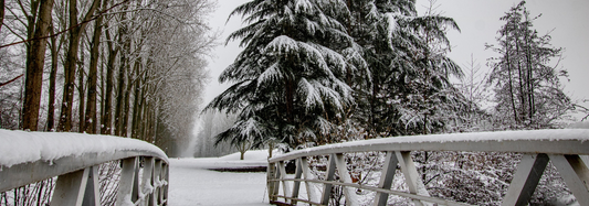 Why Utah is the Best Place to Ski.